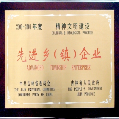 先进乡(镇)企业