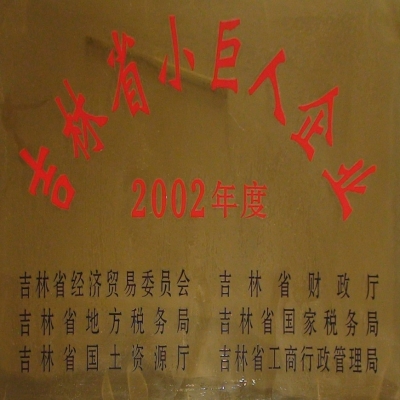 吉林省小巨人企业